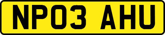 NP03AHU