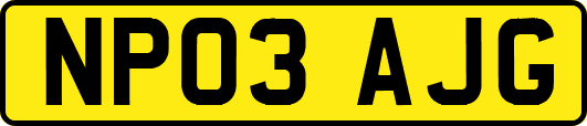 NP03AJG
