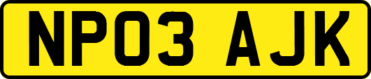 NP03AJK