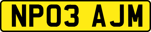 NP03AJM