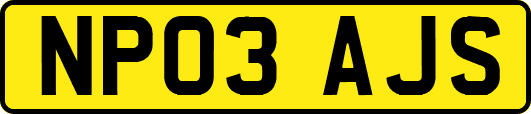 NP03AJS