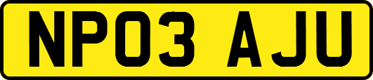 NP03AJU