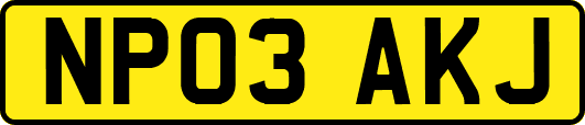 NP03AKJ