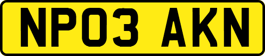 NP03AKN