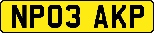 NP03AKP