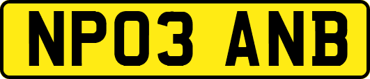 NP03ANB