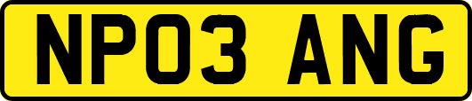 NP03ANG