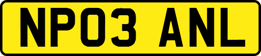 NP03ANL
