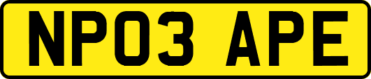 NP03APE