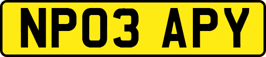 NP03APY