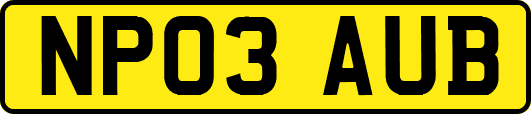 NP03AUB