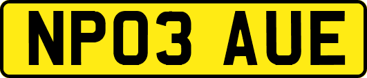 NP03AUE