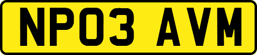 NP03AVM