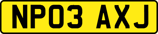 NP03AXJ