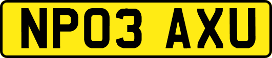 NP03AXU