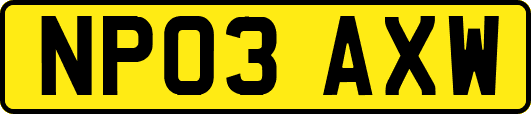 NP03AXW