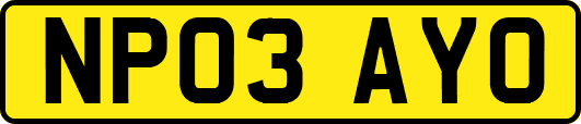 NP03AYO