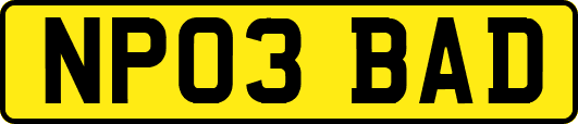 NP03BAD