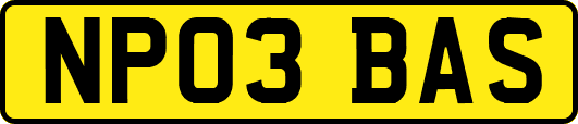 NP03BAS