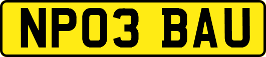 NP03BAU