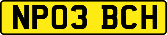NP03BCH