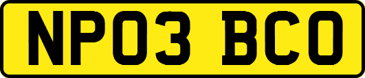 NP03BCO