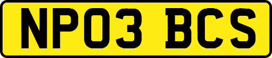 NP03BCS