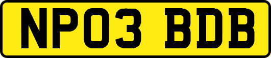 NP03BDB