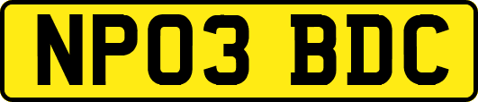 NP03BDC
