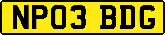 NP03BDG