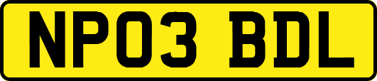 NP03BDL