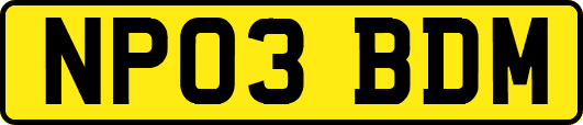 NP03BDM