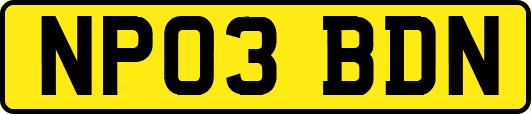 NP03BDN