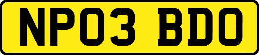 NP03BDO