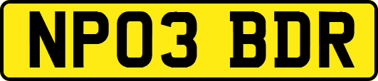 NP03BDR