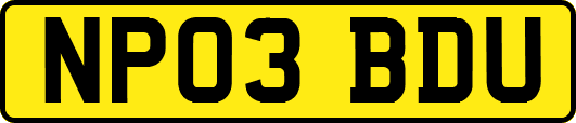 NP03BDU