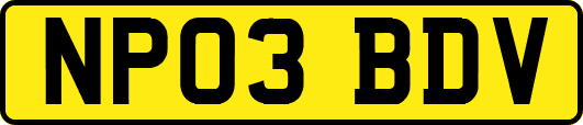 NP03BDV