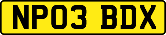 NP03BDX