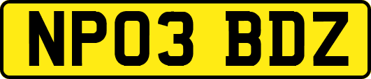 NP03BDZ