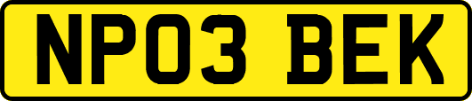NP03BEK