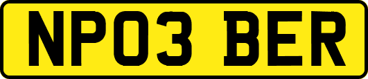 NP03BER