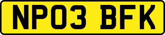 NP03BFK