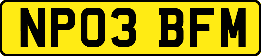 NP03BFM