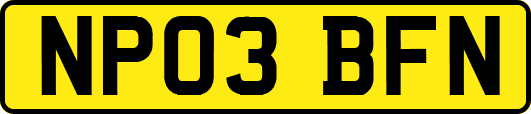 NP03BFN
