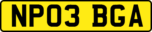 NP03BGA
