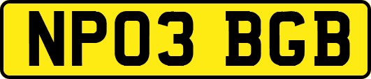 NP03BGB