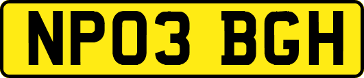 NP03BGH
