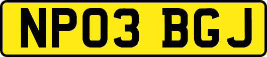 NP03BGJ