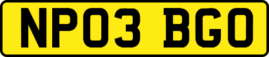 NP03BGO