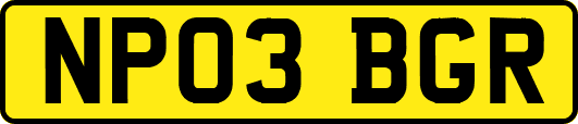 NP03BGR